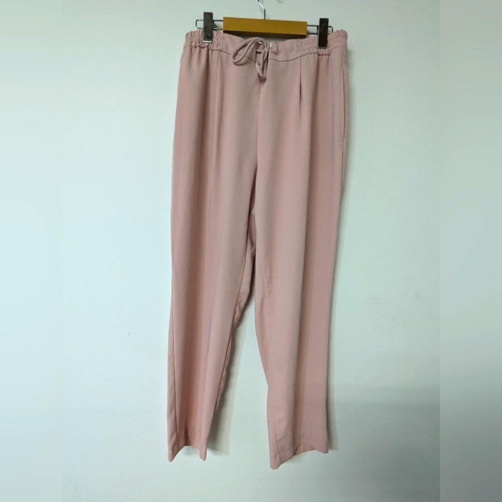 Zara light pink dress pants Size Medium